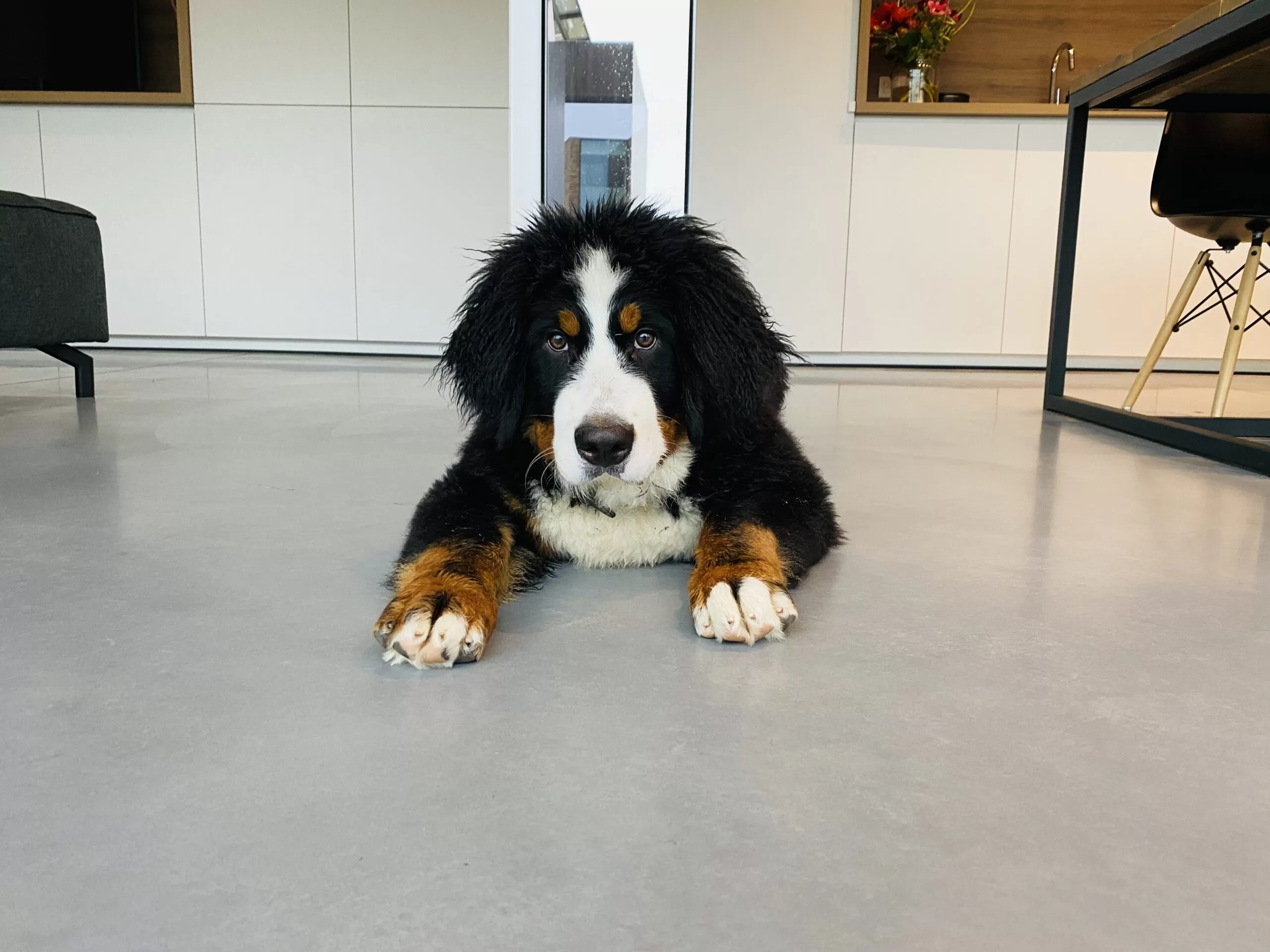 Lucon plaatst geen industrievloeren !